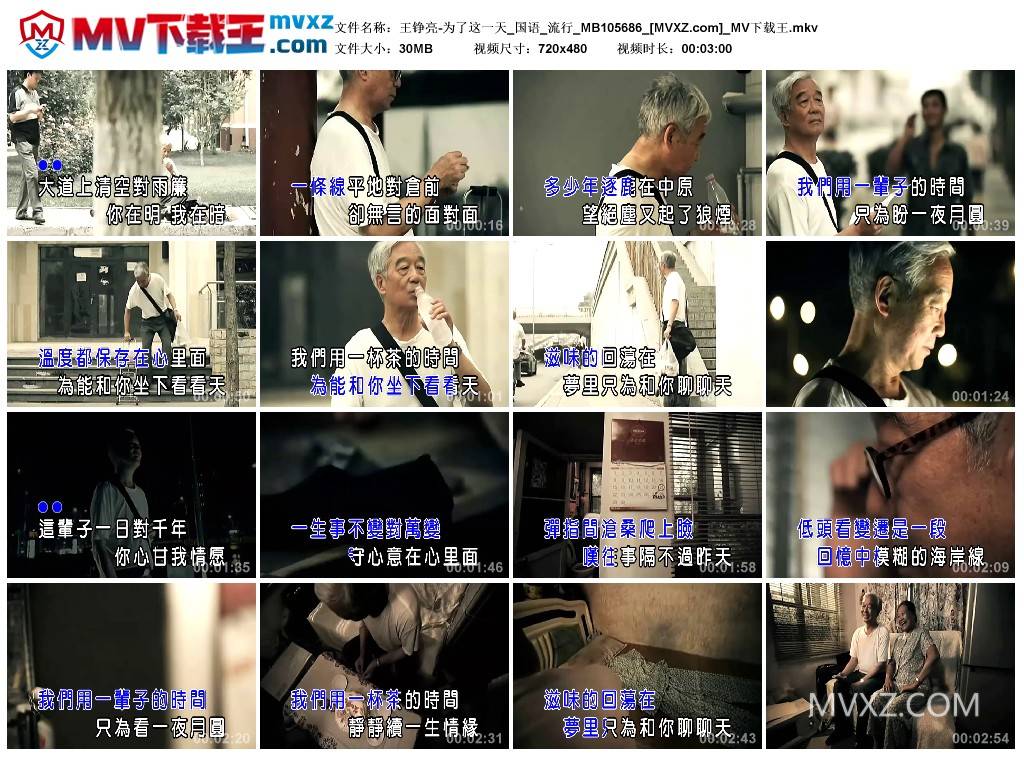 王铮亮-为了这一天_国语_流行_MB105686
